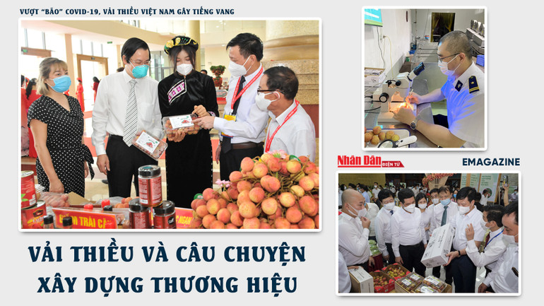 Vải thiều và câu chuyện xây dựng thương hiệu -0