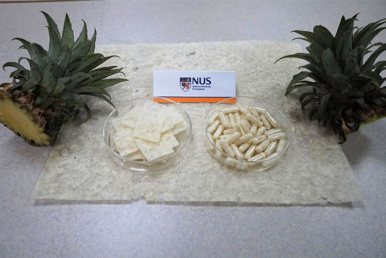 Hai nhà khoa học gốc Việt sáng chế viên "bẫy" chất béo chi phí thấp từ lá dứa ảnh 2 Hai nhà khoa học gốc Việt sáng chế viên