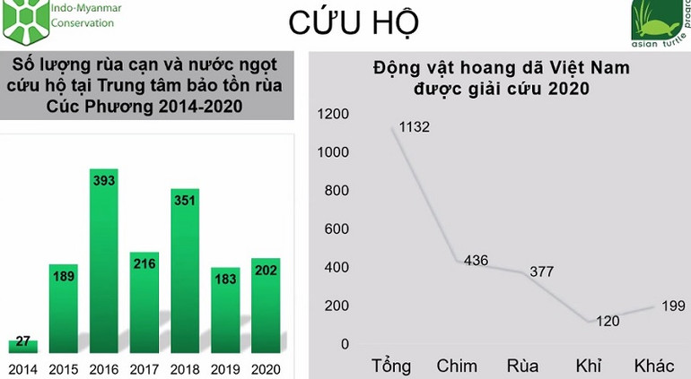 (Nguồn: Chương trình Bảo tồn Rùa châu Á - ATP) Nuôi động vật hoang dã làm thú cưng - Thực trạng và giải pháp -0