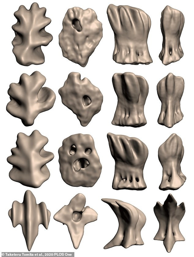 Mắt cá mập voi được bảo vệ bằng 3.000 chiếc răng cưa -0