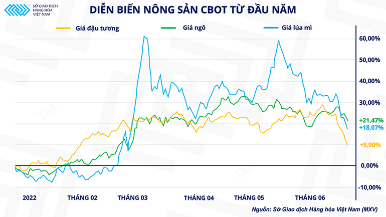 Giá nông sản lao dốc, ngành chăn nuôi sắp “nhẹ gánh”? -0