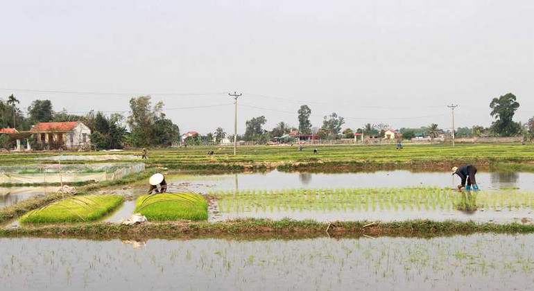 Nông dân Quảng Ninh tích cực sản xuất vụ đông xuân -0