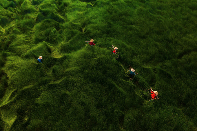 Việt Nam đạt hai Bằng Danh dự tại cuộc thi nhiếp ảnh FIAP năm 2021 -0