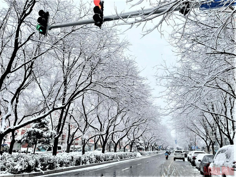 Đẹp nao lòng tuyết cuối mùa ở Bắc Kinh -0