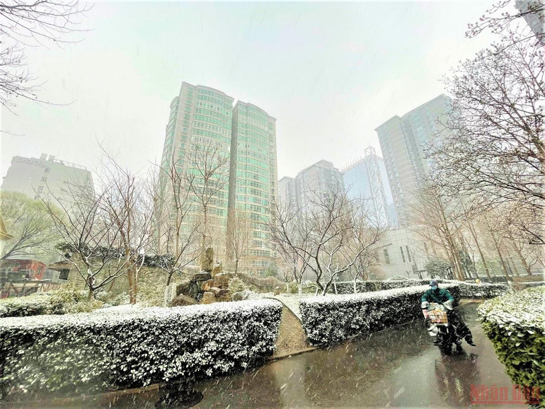 Đẹp nao lòng tuyết cuối mùa ở Bắc Kinh -0