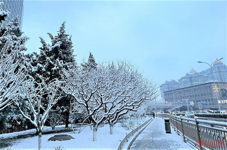 Đẹp nao lòng tuyết cuối mùa ở Bắc Kinh -0