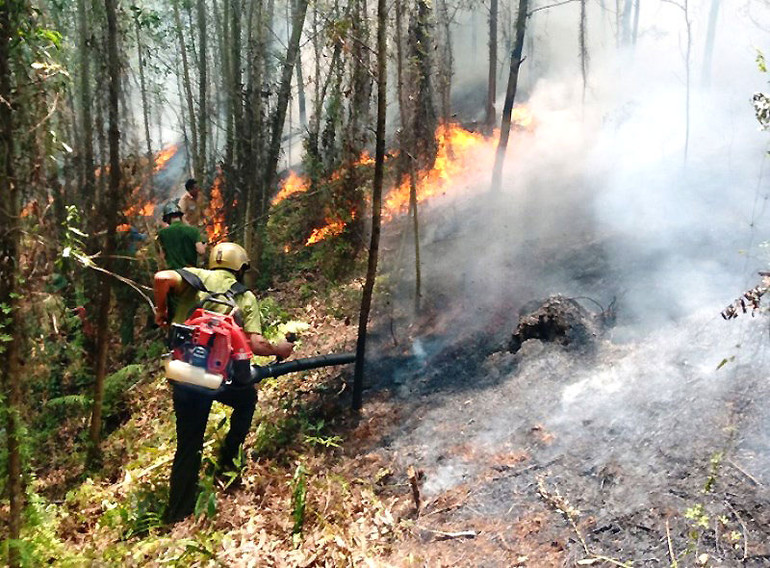 Nắng nóng làm tăng nguy cơ cháy rừng ở nhiều địa phương -0