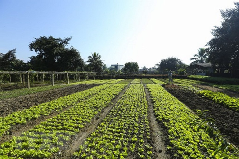 Những đổi thay ở Điện Biên ảnh 17 Điện Biên vượt qua vết thương chiến tranh, khoác lên mình diện mạo mới -0