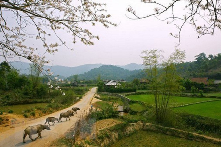 Những đổi thay ở Điện Biên ảnh 24 Điện Biên vượt qua vết thương chiến tranh, khoác lên mình diện mạo mới -0