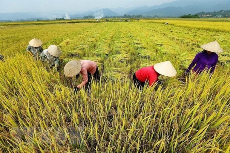 Những đổi thay ở Điện Biên ảnh 16 Điện Biên vượt qua vết thương chiến tranh, khoác lên mình diện mạo mới -0