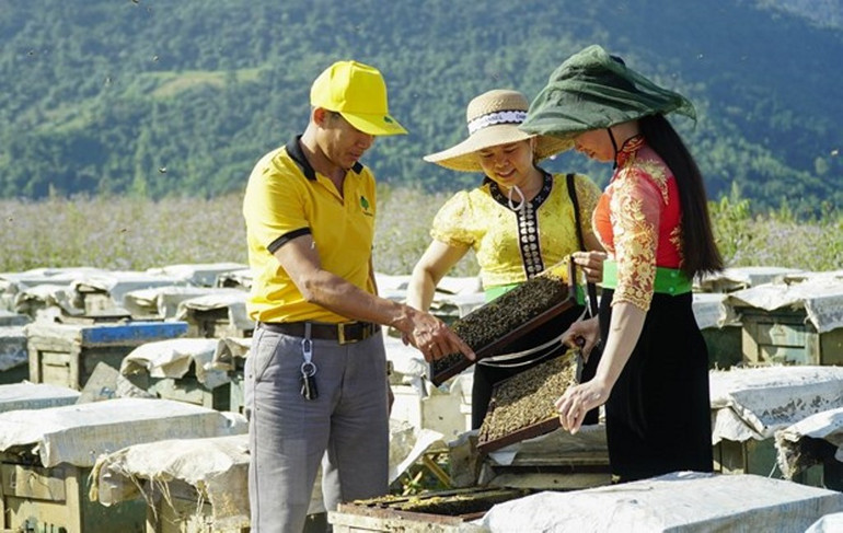 Những đổi thay ở Điện Biên ảnh 4 Điện Biên vượt qua vết thương chiến tranh, khoác lên mình diện mạo mới -0