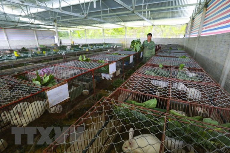 Những đổi thay ở Điện Biên ảnh 5 Điện Biên vượt qua vết thương chiến tranh, khoác lên mình diện mạo mới -0