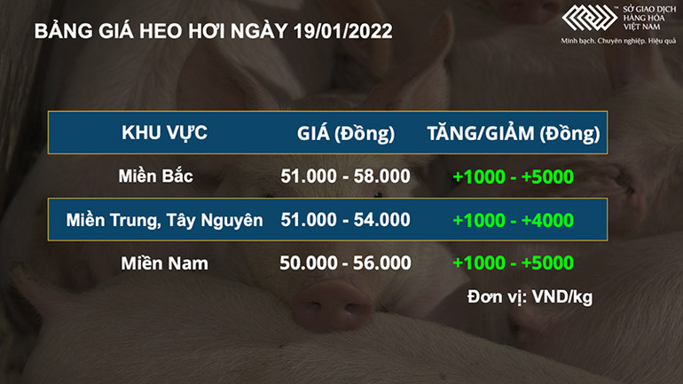 Thị trường nông sản diễn biến phân hóa, giá heo hơi vẫn duy trì đà tăng -0