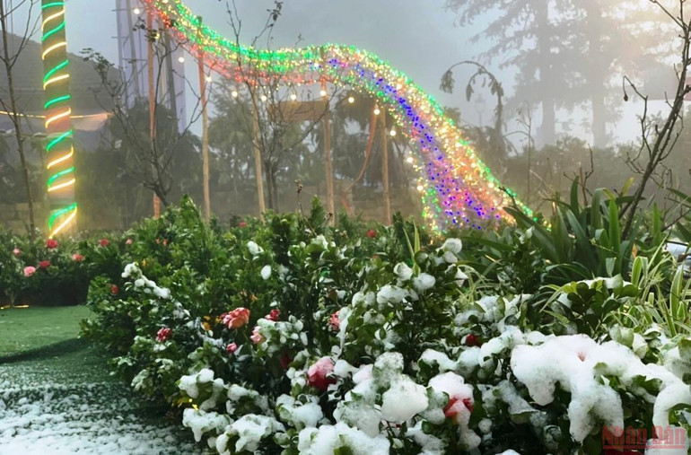 Đón mùa Giáng sinh an lành giữa đại dịch Covid-19 -0