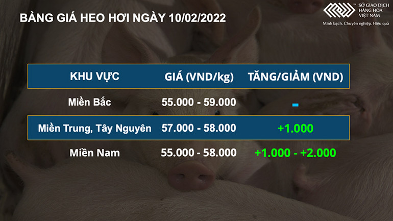 Thị trường nông sản khởi sắc mạnh mẽ, giá heo hơi nội địa tăng rải rác ở một số tỉnh -0