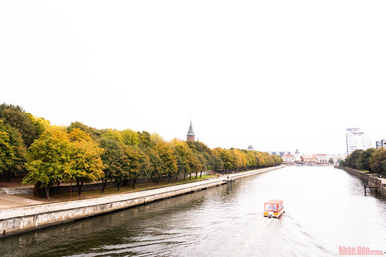 Thu vàng tại Kaliningrad - thành phố mang phong cách "châu Âu" nhất của nước Nga. Say đắm mùa thu vàng nước Nga -9