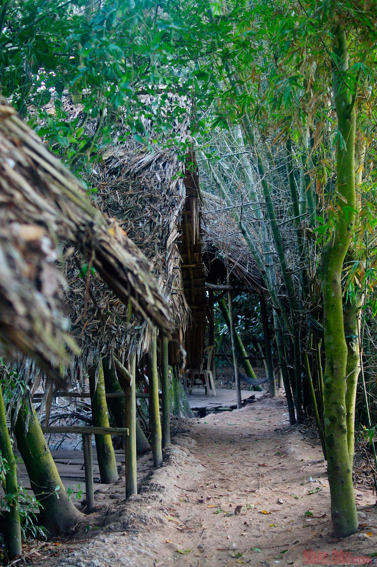 Vườn cò Bằng Lăng - sân chim lớn nhất đồng bằng sông Cửu Long -0