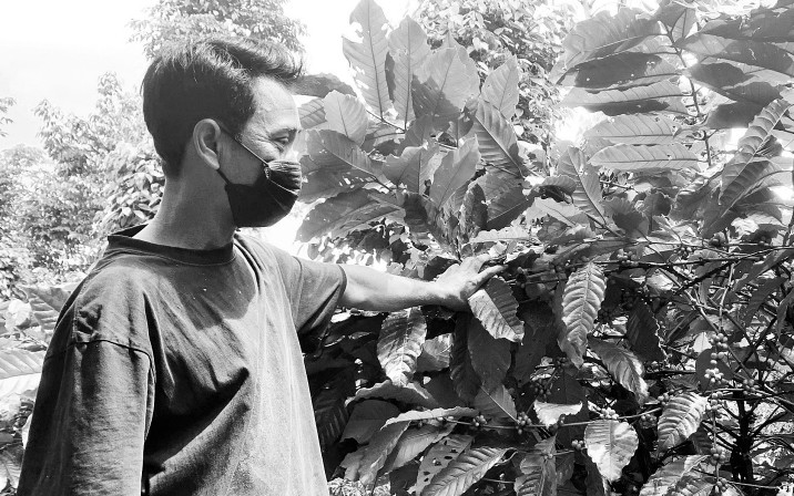 Khẩn trương, quyết liệt “hạ nhiệt” giá phân bón -0