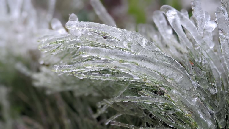 Đỉnh Phja Oắc (Cao Bằng) âm 6 độ C, băng phủ trắng núi rừng -2