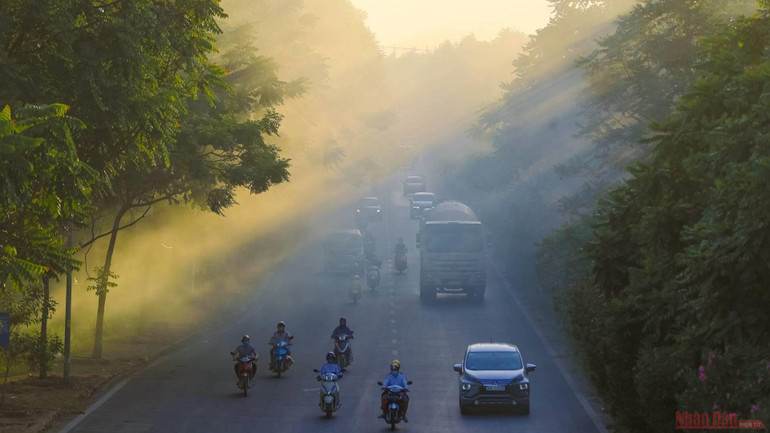 Nông dân Hà Nội tất bật mùa vàng dưới nắng hè oi ả -1