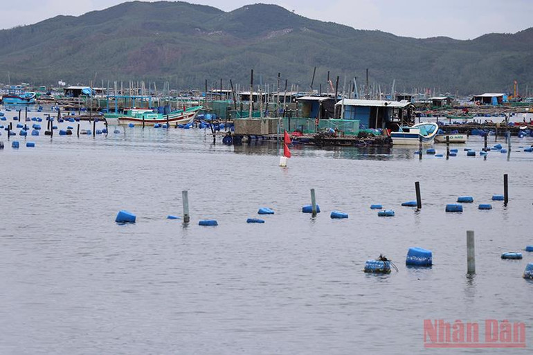 Để tàu cá ra vào khu neo đậu tránh trú bão vịnh Xuân Đài an toàn -0