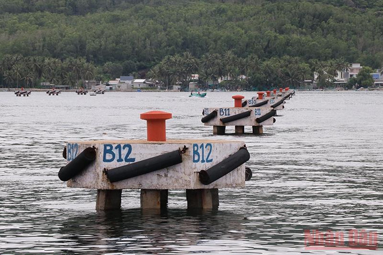 Để tàu cá ra vào khu neo đậu tránh trú bão vịnh Xuân Đài an toàn -0