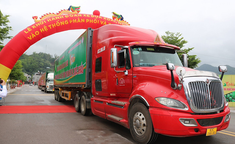 Lễ khởi hành đoàn xe đưa xoài Sơn La vào hệ thống phân phối và xuất khẩu. Tạo cơ hội cho các doanh nghiệp trong và ngoài nước tiêu thụ nông sản Sơn La -0
