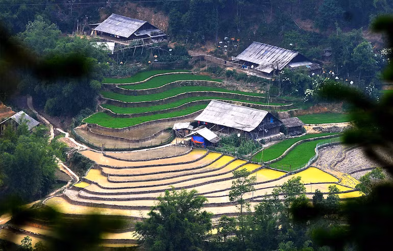 Ruộng bậc thang Sa Pa mùa nước đổ -0