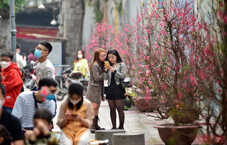 Hà Nội “thay áo mới” rực rỡ đón Xuân Nhâm Dần 2022 -0