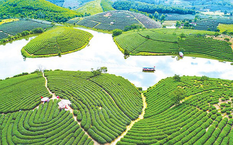 Đảo Chè là điểm nhấn hút du khách ở huyện miền núi Thanh Chương. Nghệ An nâng cao chất lượng sản phẩm, thu hút nhân lực ngành du lịch -0