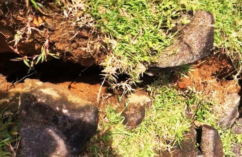 Xuất hiện nhiều đường nứt trên các quả núi vừa sạt lở ở Quảng Trị -0