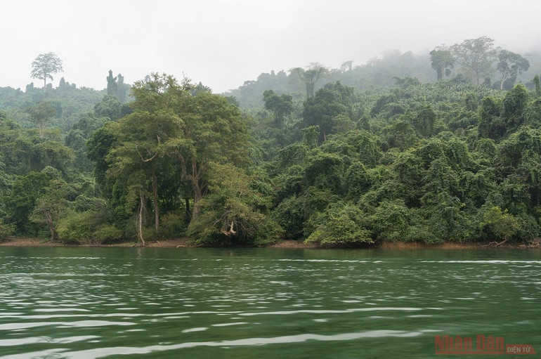 Hồ Ba Bể - viên ngọc bích miền thượng du -0