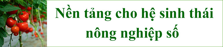 Thời của nông nghiệp 4.0:&nbsp;Đổi chất, tăng lượng -0