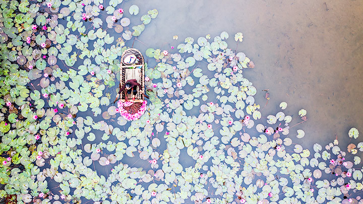 Chùa Hương mùa hoa súng -0