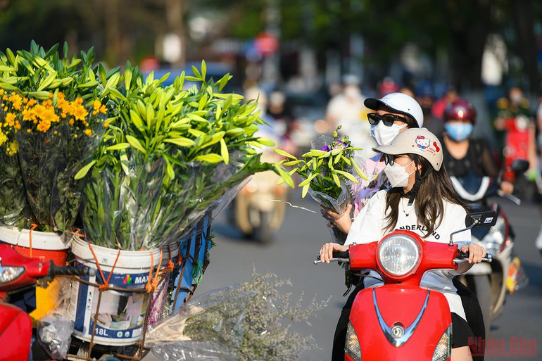 Tháng tư mùa hoa loa kèn tinh khôi xuống phố Hà Nội -0