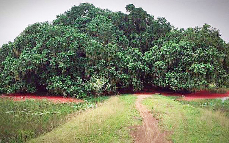 5 địa điểm du lịch khi đến Phú Thọ -0