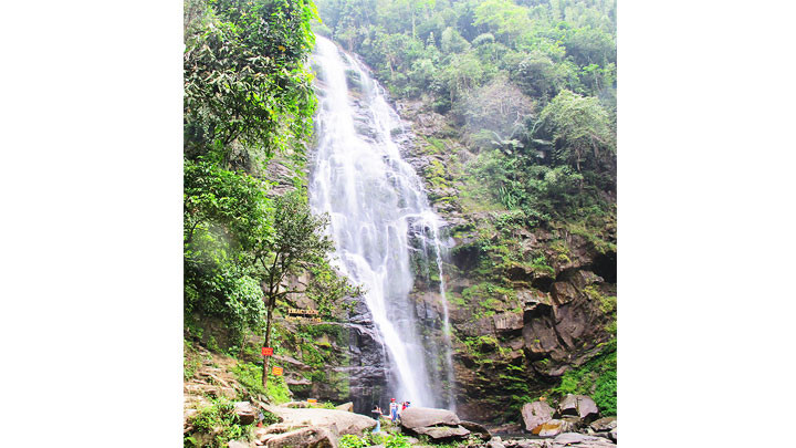 Khí thế Trà Lân -0