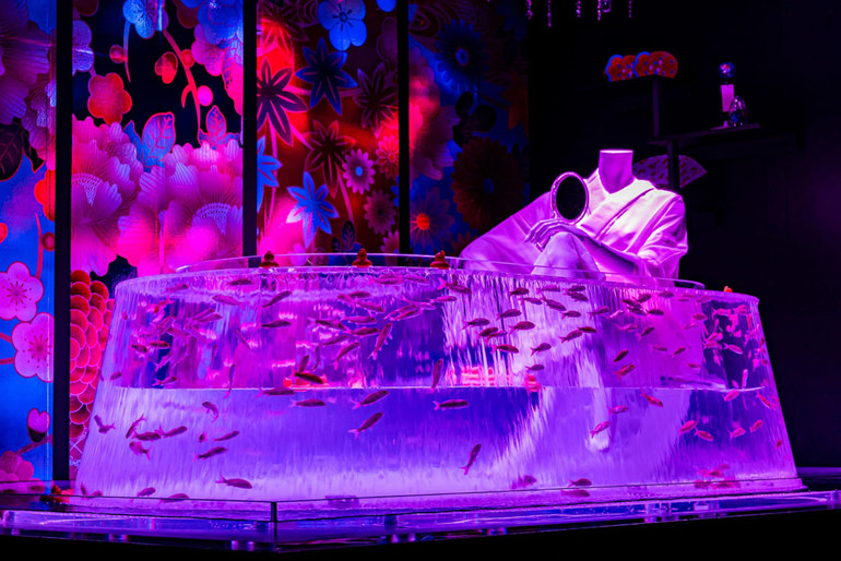 Huyền bí sắc màu Art Aquarium ở thủ đô Tokyo -1