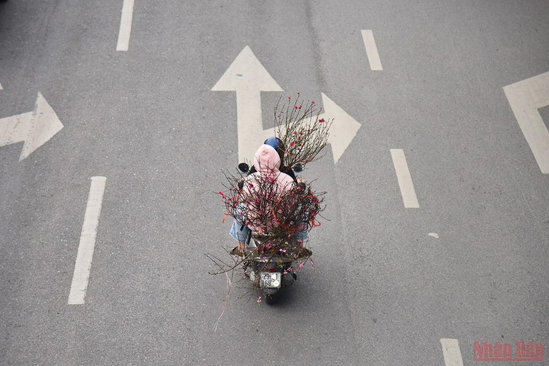 Người dân Hà Nội tất bật sắm sửa cho ngày Tết. (Ảnh: Minh Duy) Hà Nội sôi động thị trường đào, quất ngày 28 Tết -0