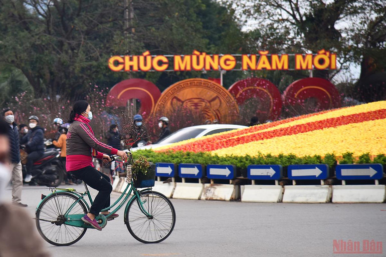 Hà Nội sôi động thị trường đào, quất ngày 28 Tết -0