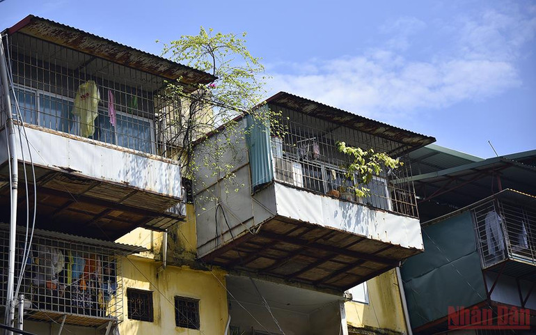 Những chung cư cũ được Hà Nội ưu tiên cải tạo -0