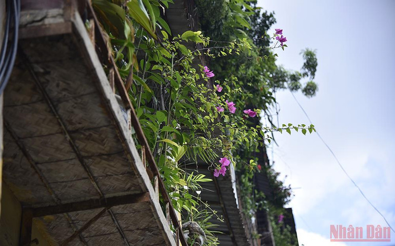 Những chung cư cũ được Hà Nội ưu tiên cải tạo -0