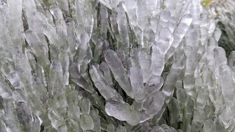 Đỉnh Phja Oắc (Cao Bằng) âm 6 độ C, băng phủ trắng núi rừng -0