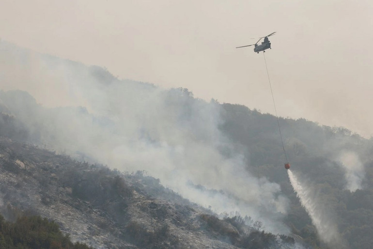 Cây lớn nhất thế giới an toàn trong biển lửa -0