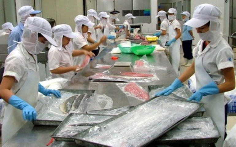 Công nghệ của Nhật Bản kỳ vọng giúp nâng cao giá trị cá ngừ khai thác của Việt Nam. Nhiều triển vọng cho nghề khai thác cá ngừ đại dương -0
