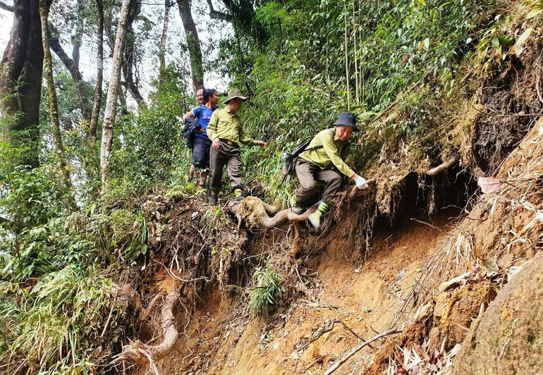 Tạm đình chỉ hai kiểm lâm Trạm kiểm lâm Tả Van -0