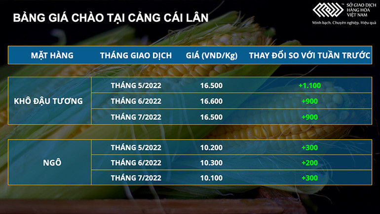 Thị trường chịu nhiều áp lực, siêu chu kỳ tăng giá hàng hóa liệu đã kết thúc? -0