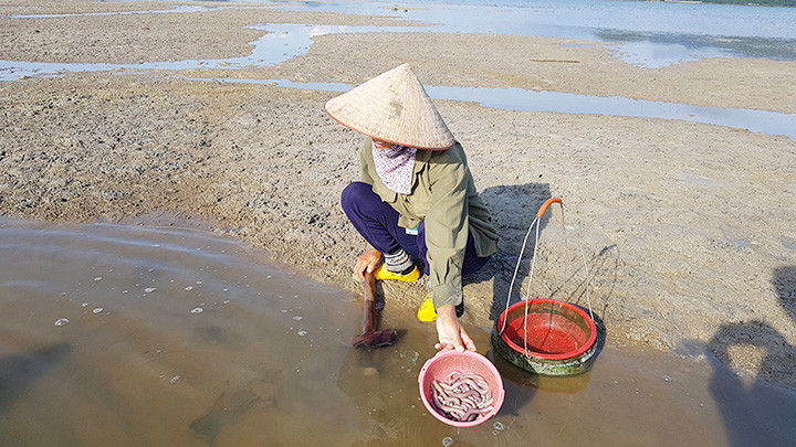 Nhịp sống trên đảo Quan Lạn -0