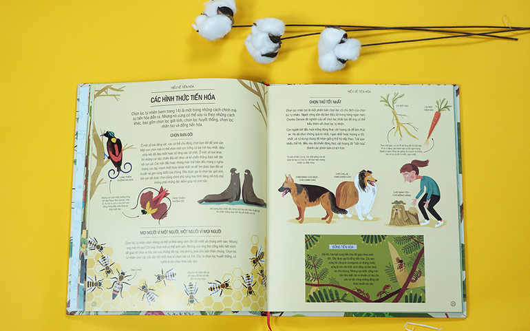 Khám phá thế giới diệu kỳ qua bộ sách “Amazing…” -0