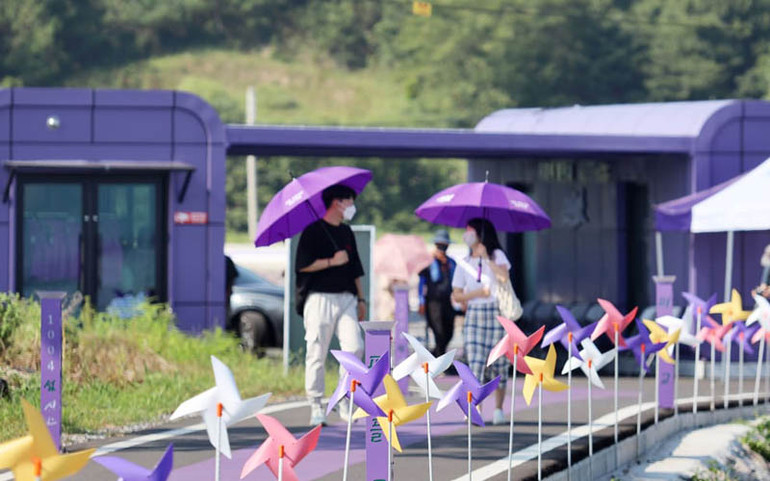 Độc đáo “Quần đảo Tím” hút khách ở Hàn Quốc -0